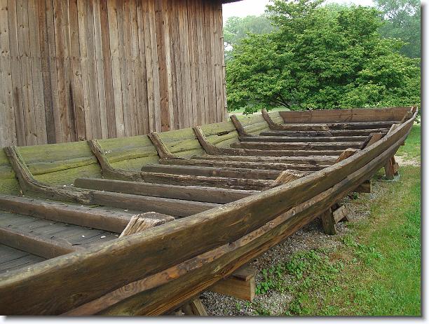 Nast\u0119pne zdj\u0119cie